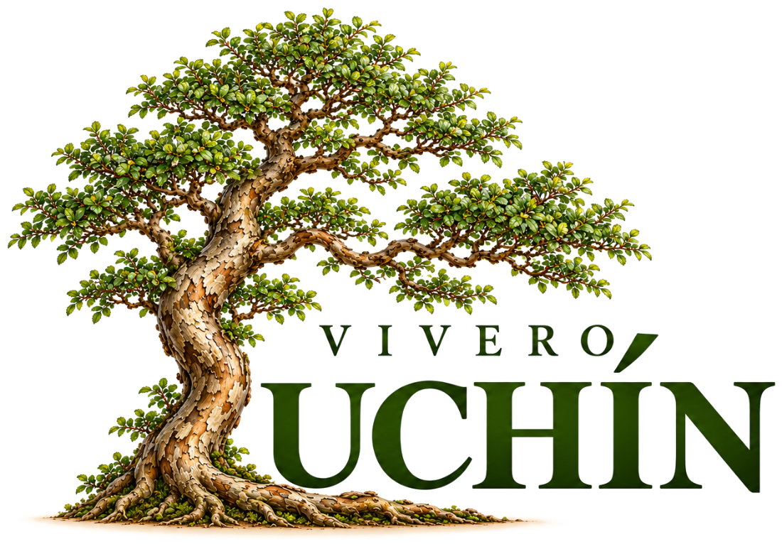 Vivero Luchín